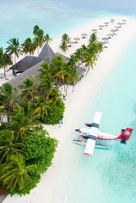 Beach Plane