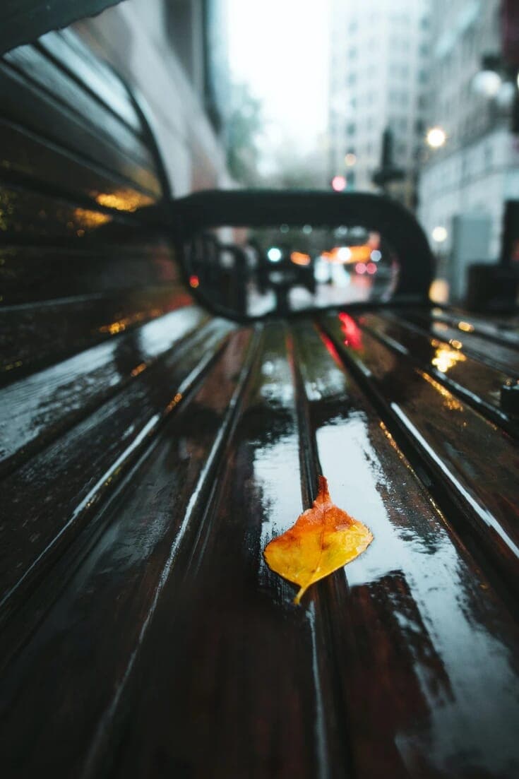 Bench
