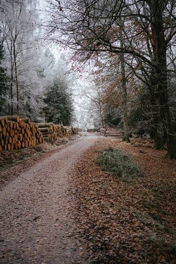 Farm Wood