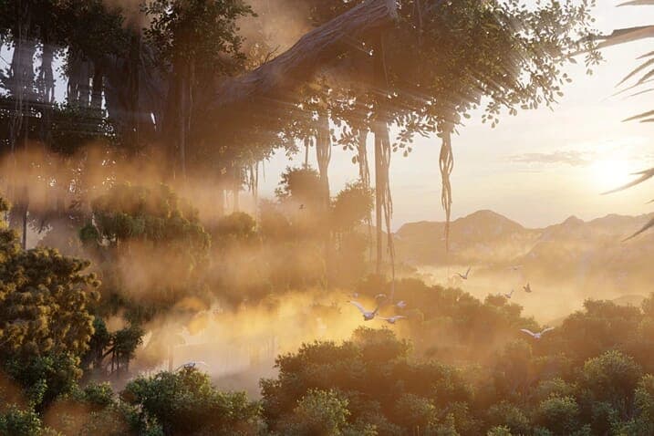 Forest Sunset