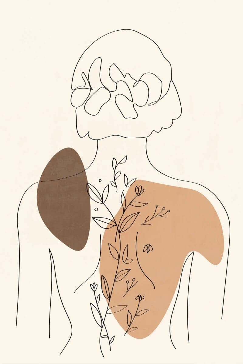Outline 16