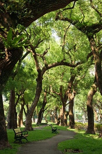Park