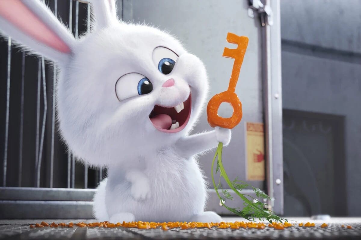 Snowball