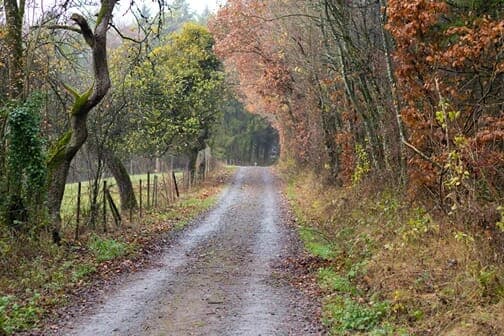 Random Road