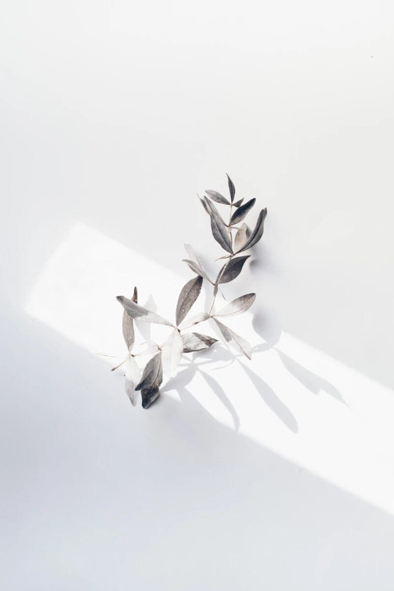 Table Leafs