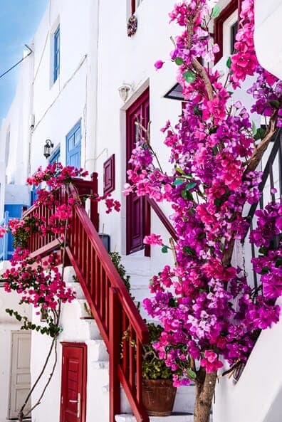 Wall Pink Flowers