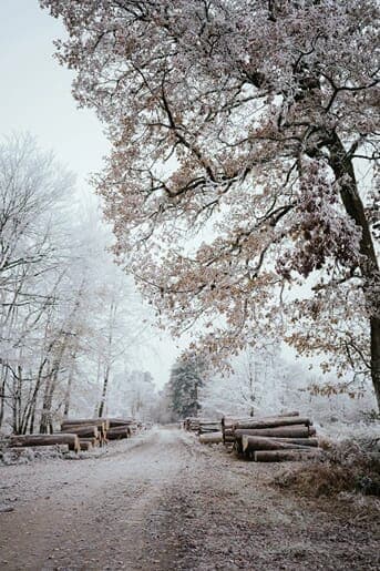 Winter Farm